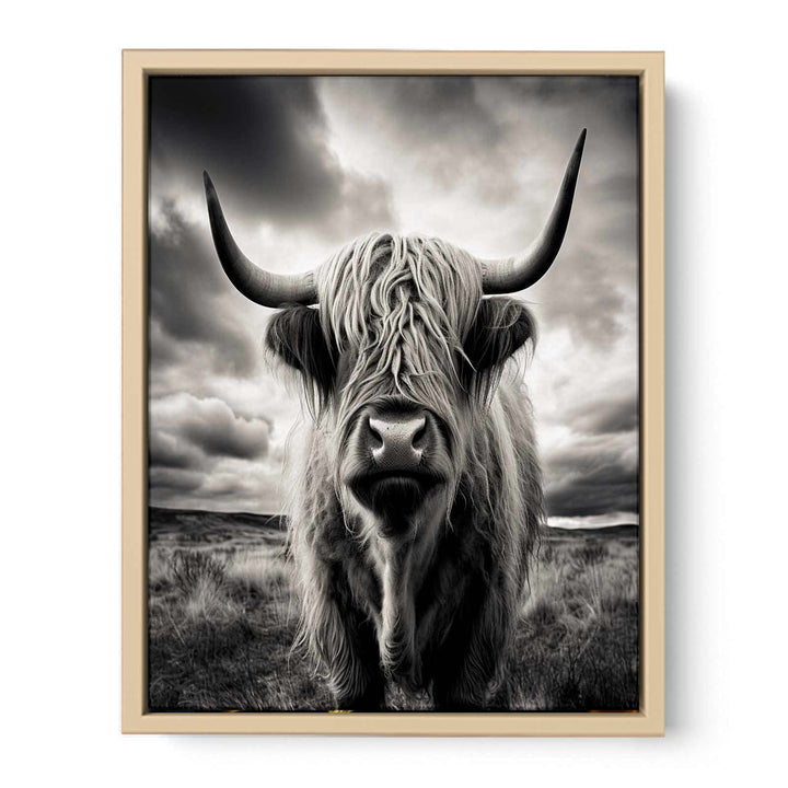 Highland  Cow Painting BW framed Print