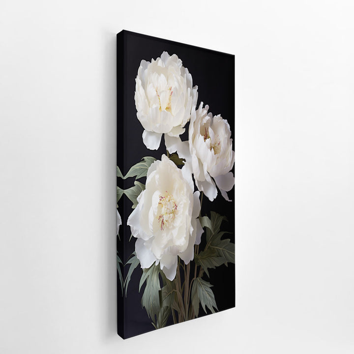 White Coral Peony Flower Art  canvas Print