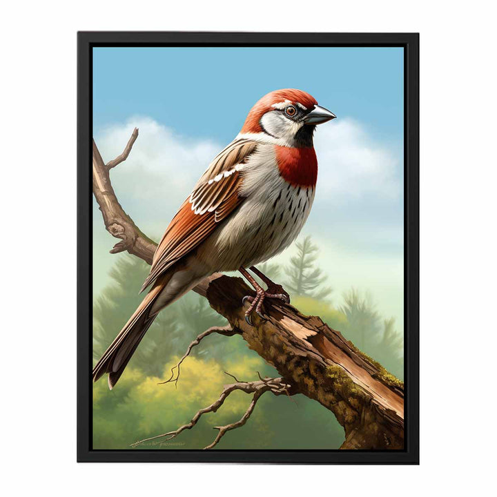 Sparrow Art  canvas Print