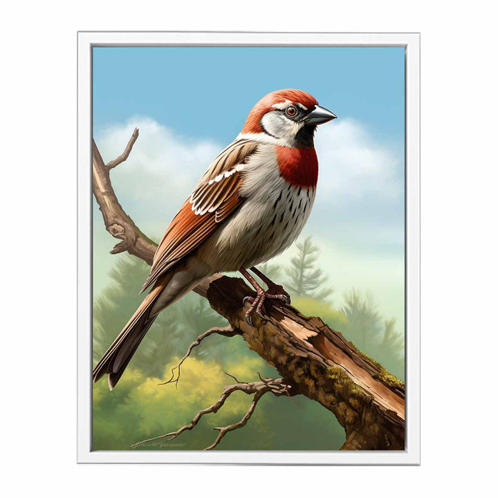 Sparrow Art  Painting