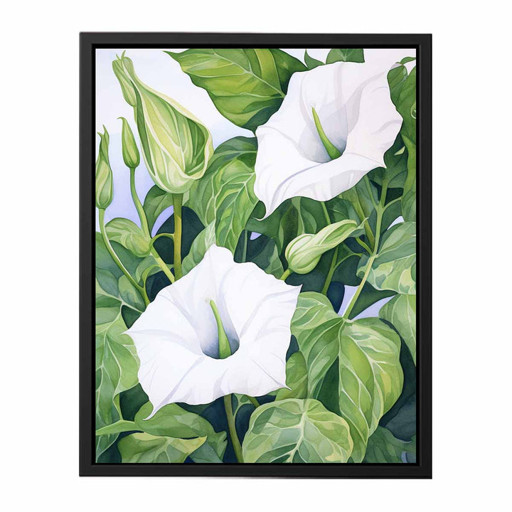 Jimson Weed Artwork   canvas Print