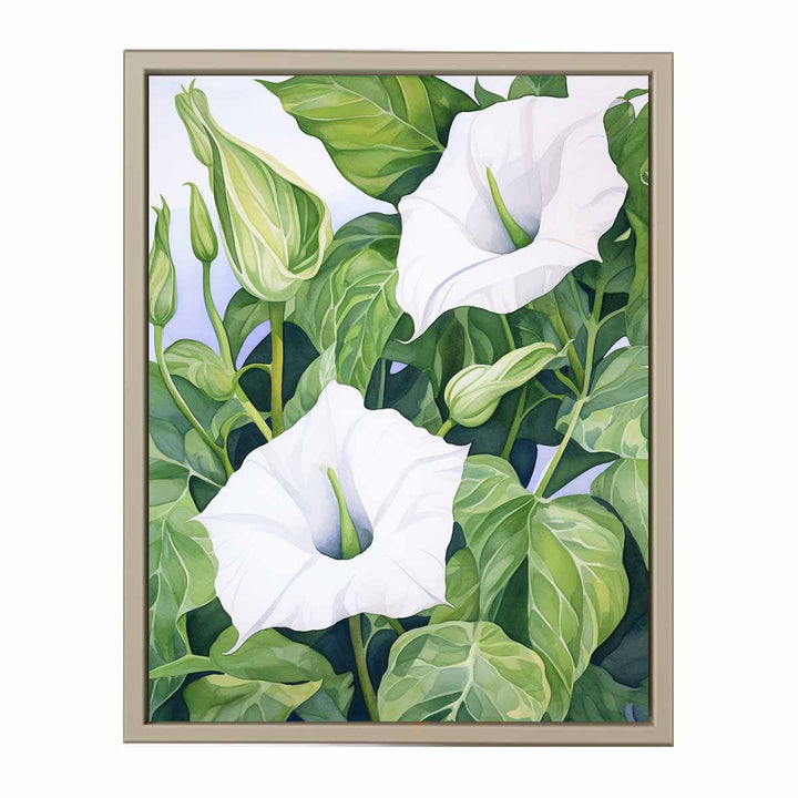 Jimson Weed Artwork  framed Print