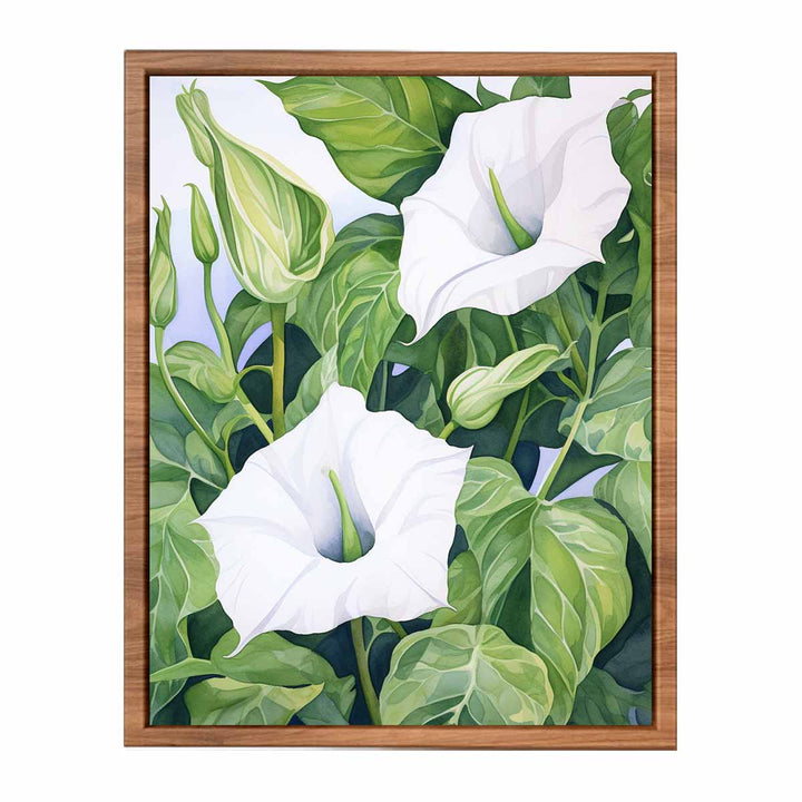 Jimson Weed Artwork   Painting