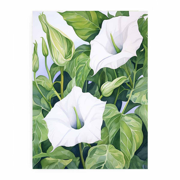 Jimson Weed Artwork 