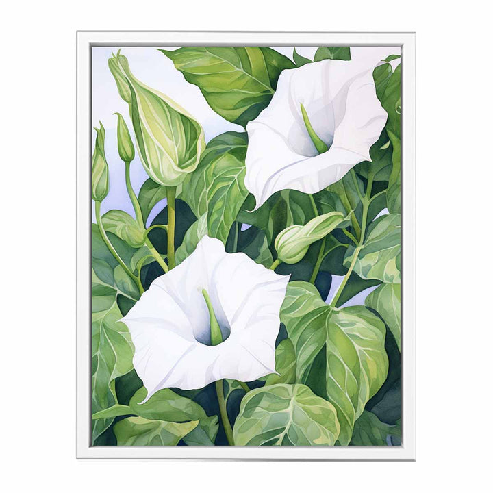 Jimson Weed Artwork   Painting