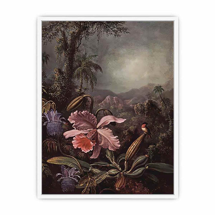 Orchids Passion Flowers And Hummingbird Framed Print