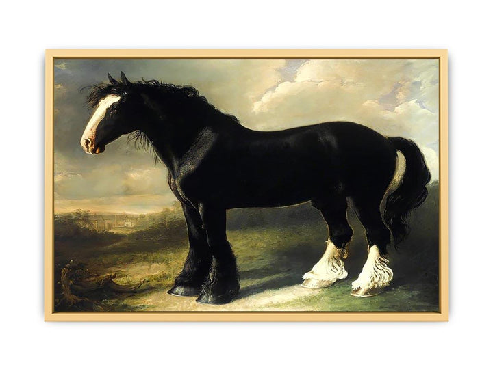 Old English Black Horse Streched canvas