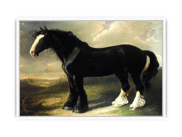 Old English Black Horse Framed Print