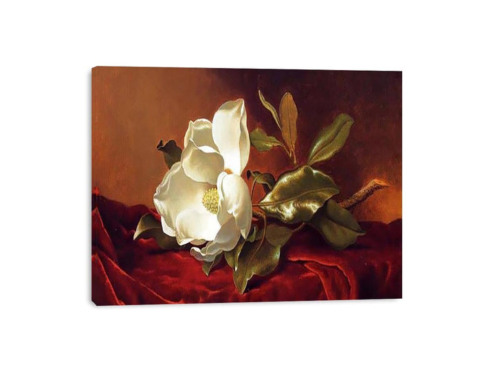 A Magnolia On Red Velvet Canvas Print