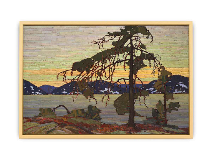 The Jack Pine Streched canvas