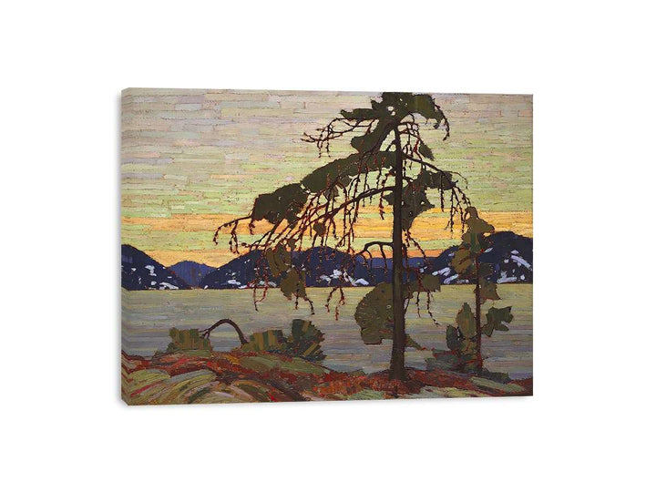 The Jack Pine Canvas Print