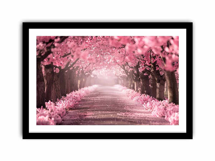 Cherry Blossom Path  Art Print