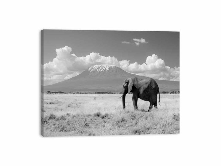 Lonely Elephant  Canvas Print