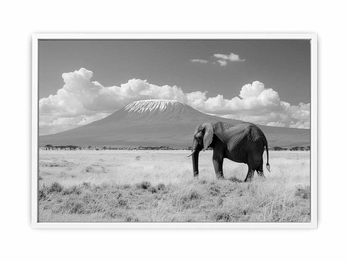 Lonely Elephant  Framed Print