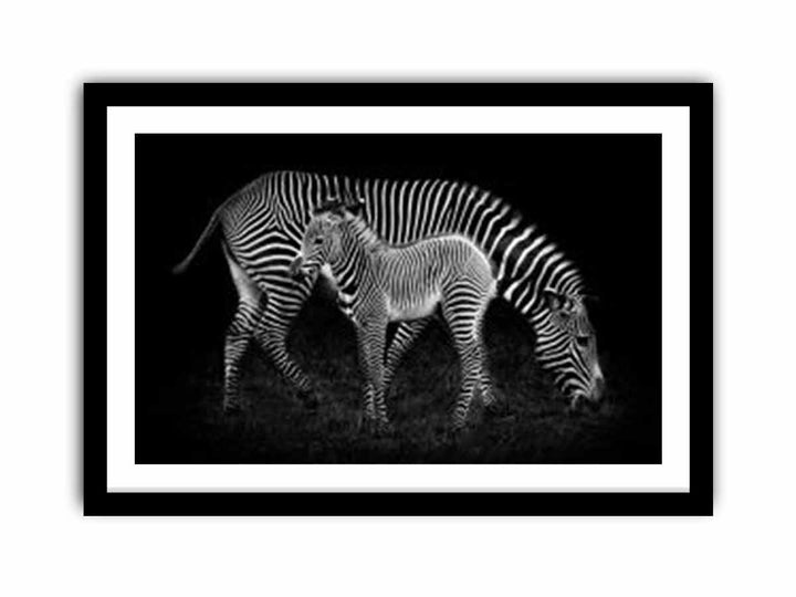 Mum & baby Zebra  Art Print