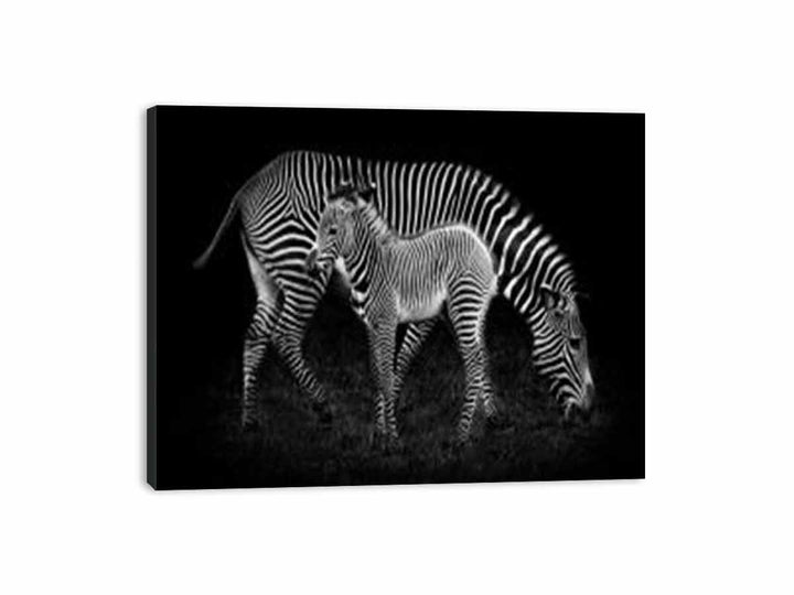 Mum & baby Zebra Canvas Print