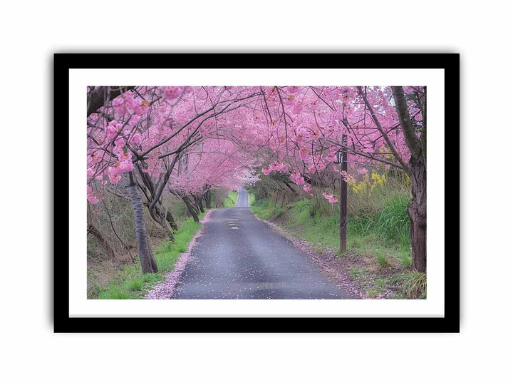 Cherry Blossom Path  Art Print