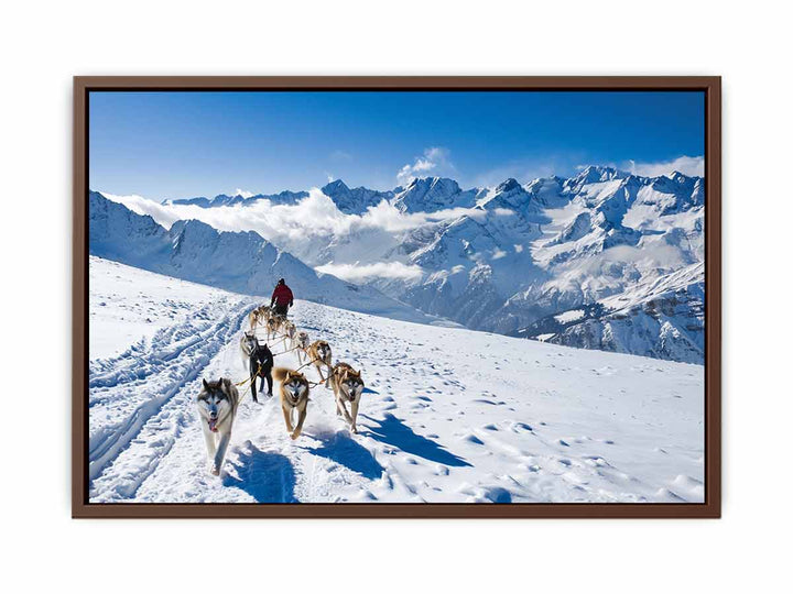 Dog Sledding  Poster