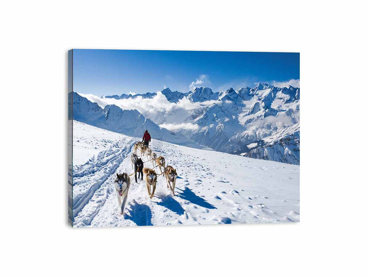 Dog Sledding Canvas Print