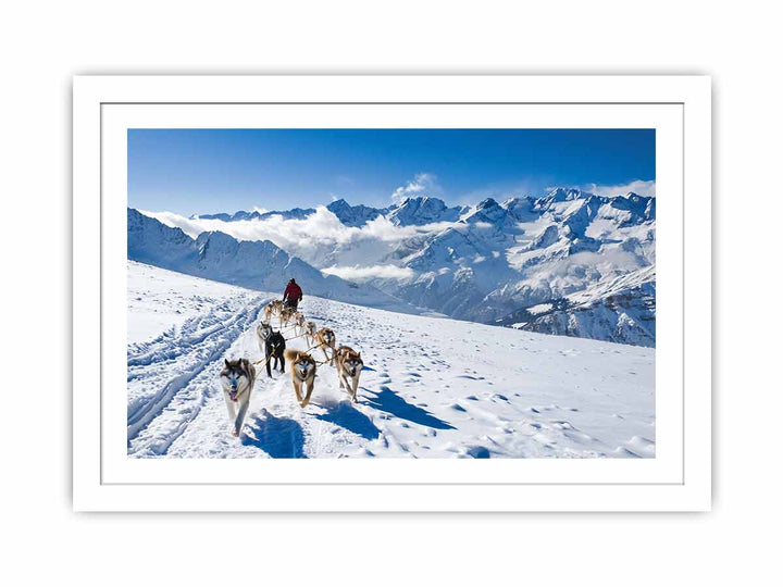 Dog Sledding Streched canvas