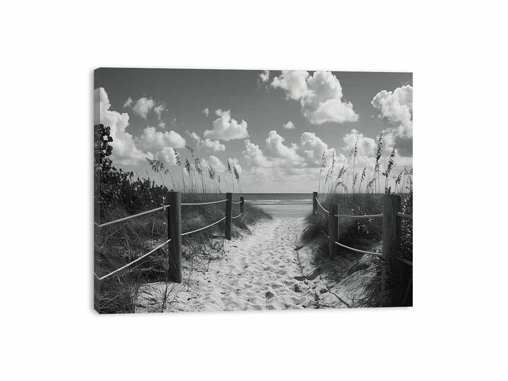 Beach Path Canvas Print