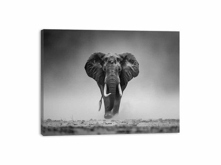 Elepahant Canvas Print