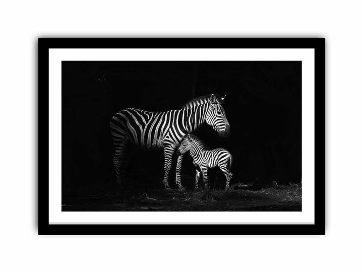 Zebra Mum & Baby  Art Print