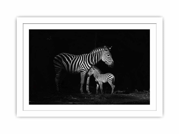 Zebra Mum & Baby Streched canvas