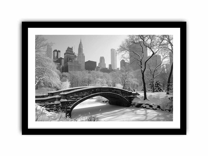 New York Central Park  Art Print