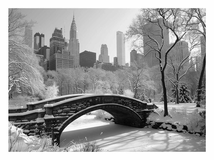 New York Central Park