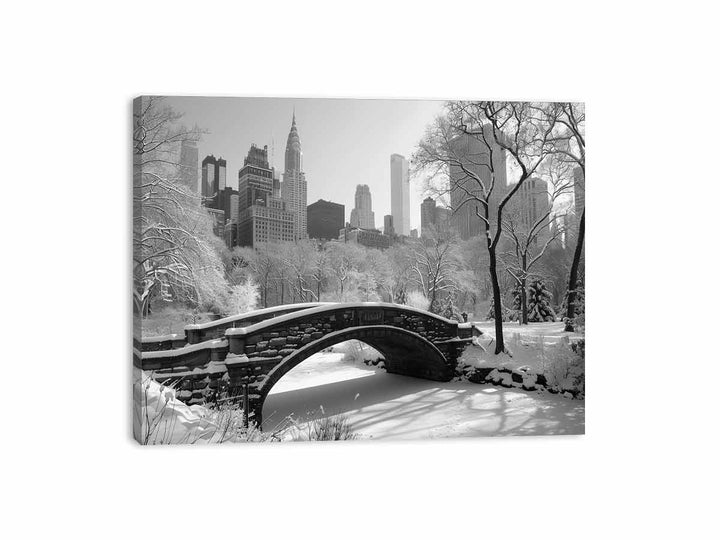 New York Central Park Canvas Print