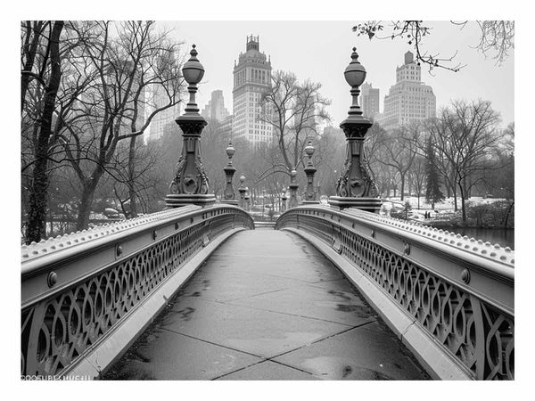 Bow Bridge Central Park