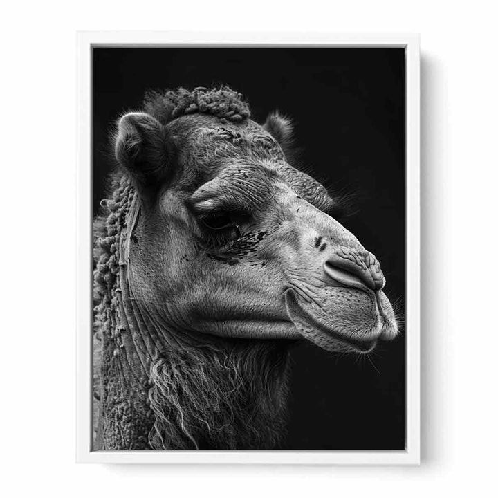 Camel Framed Print