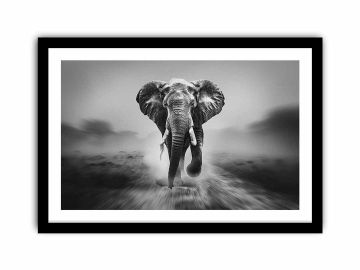 Elepahant Running  Art Print