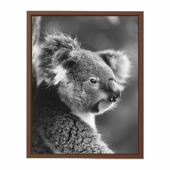 Baby Koala  Poster