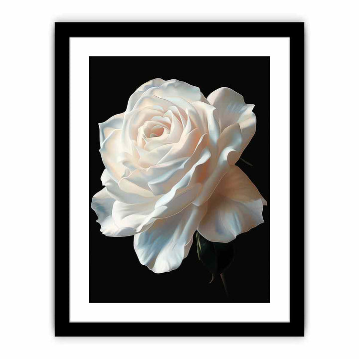 Rose  Art Print