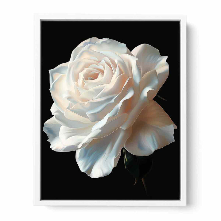 Rose Framed Print