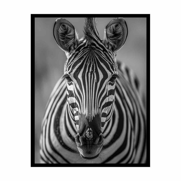 Zebra Stripes  Painting