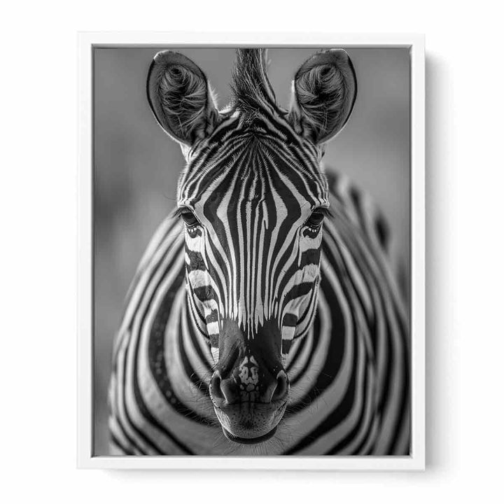 Zebra Stripes Framed Print