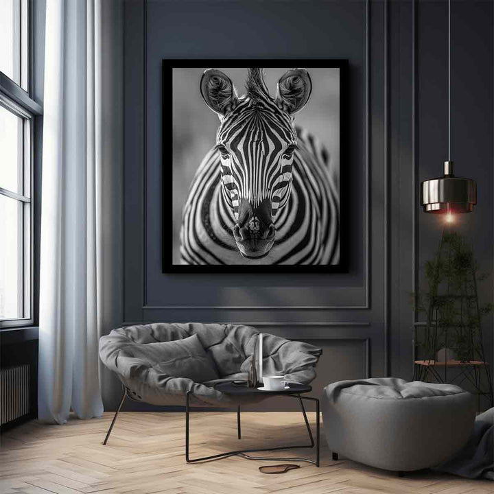 Zebra Stripes 