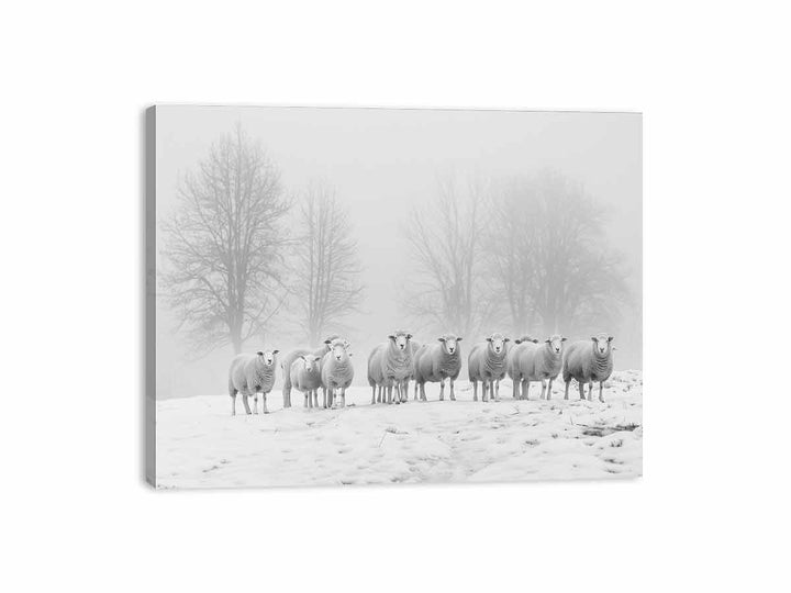 Sheep in the Field Canvas Print