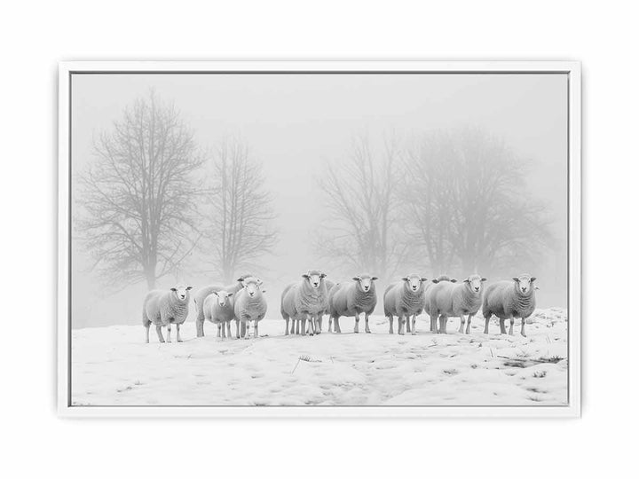 Sheep in the Field Framed Print