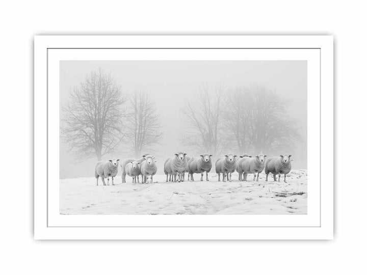 Sheep in the Field Streched canvas