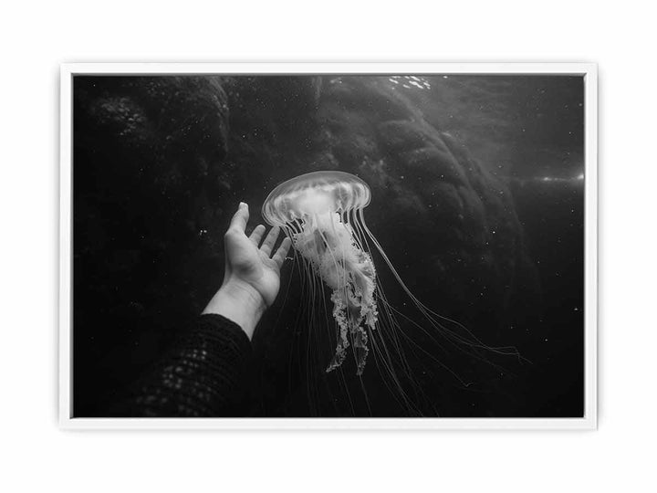 Jellyfish Framed Print