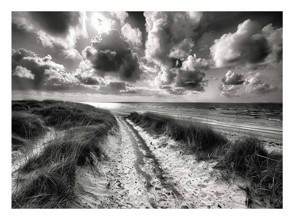 Beach Path 