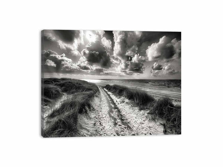 Beach Path  Canvas Print