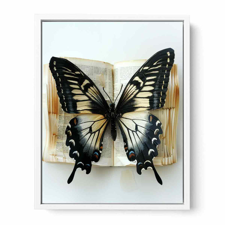 Butterfly Framed Print