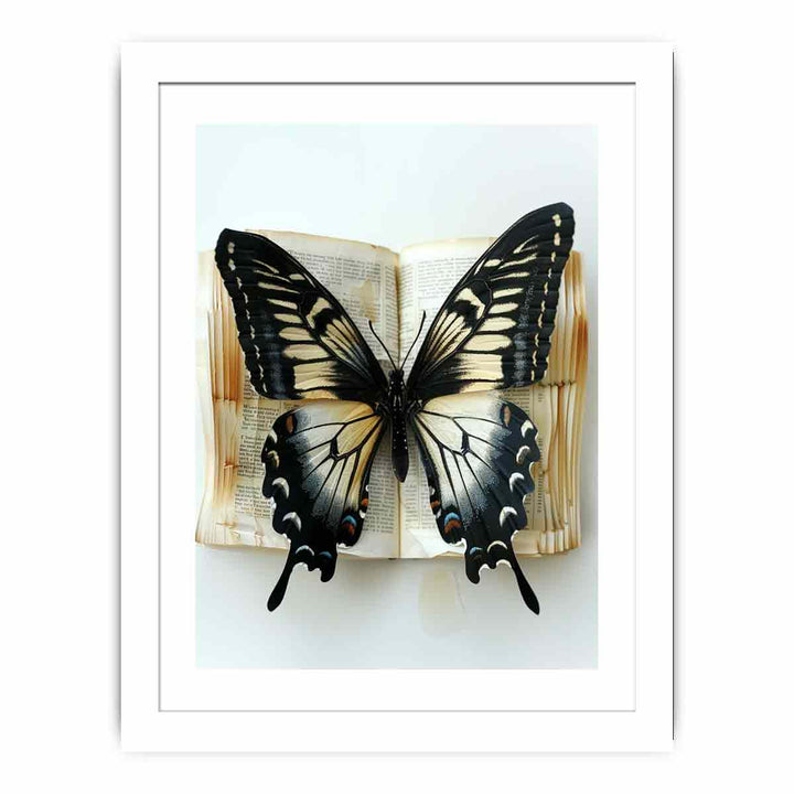 Butterfly Streched canvas