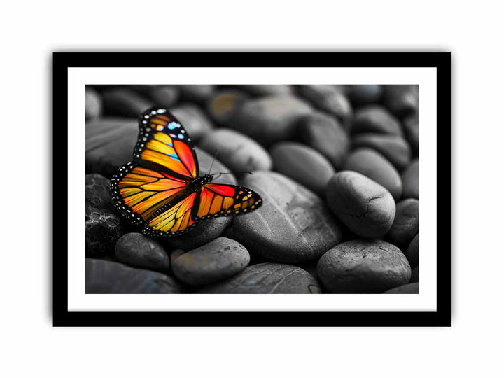 Butterfly on Pebles  Art Print