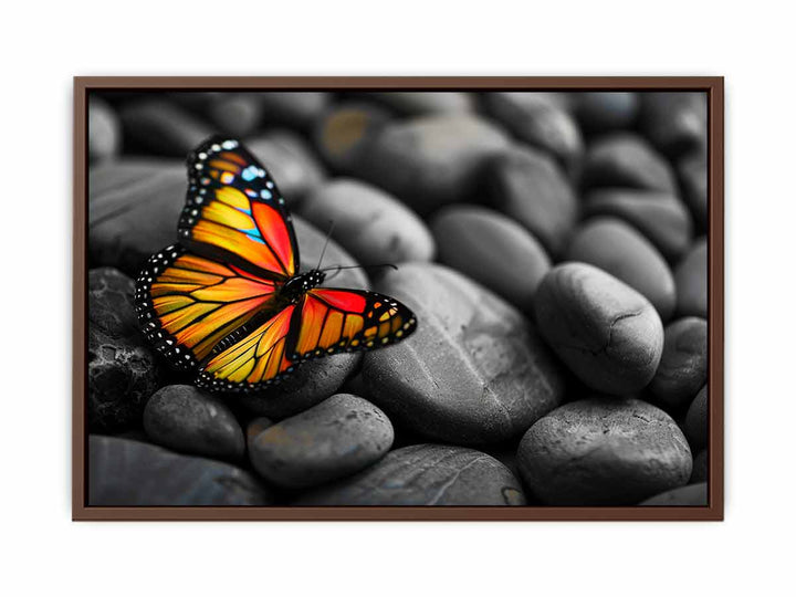 Butterfly on Pebles  Poster